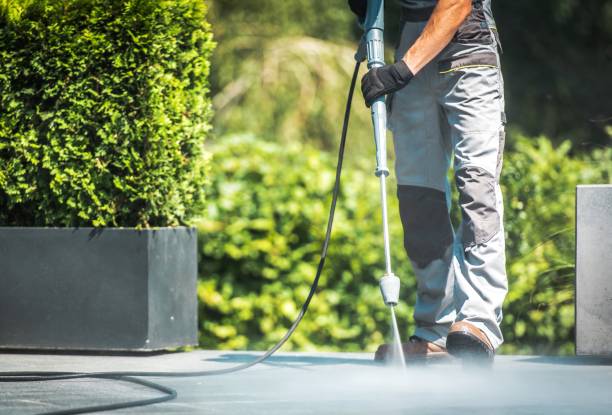 Best Fence Cleaning  in Groveton, VA