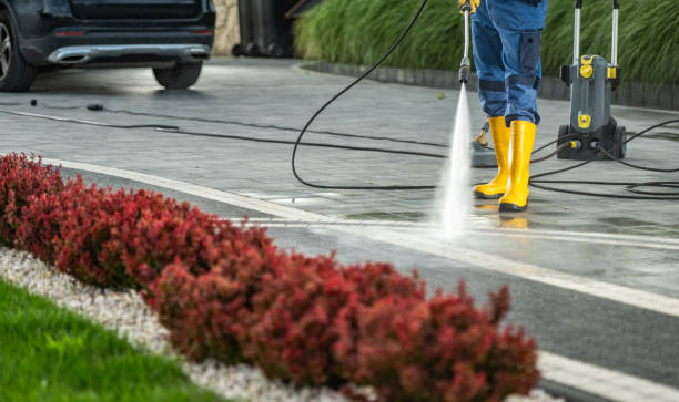 Best Solar Panel Cleaning  in Groveton, VA