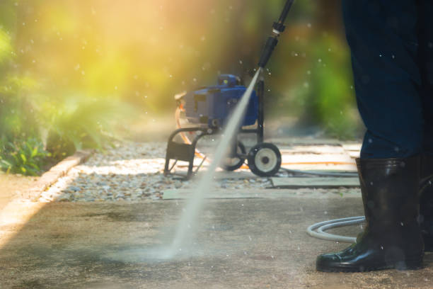 Best Animal Enclosure Cleaning  in Groveton, VA